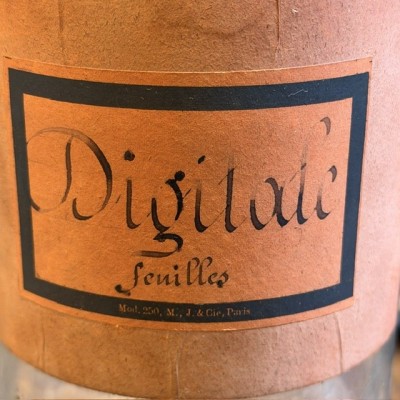 Digitale en feuilles - POISON - Bocal ancien de pharmacie-Apothicaire