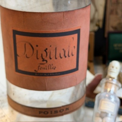 Digitale en feuilles - POISON - Bocal ancien de pharmacie-Apothicaire