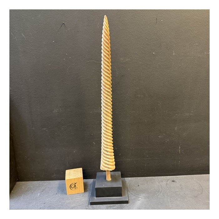 Spiral-carved marlin rostrum - Istiophoridae - Unicorn
