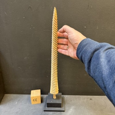 Spiral-carved marlin rostrum - Istiophoridae - Unicorn