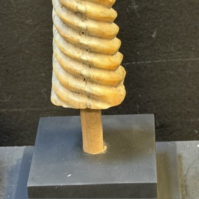 Spiral-carved marlin rostrum - Istiophoridae - Unicorn