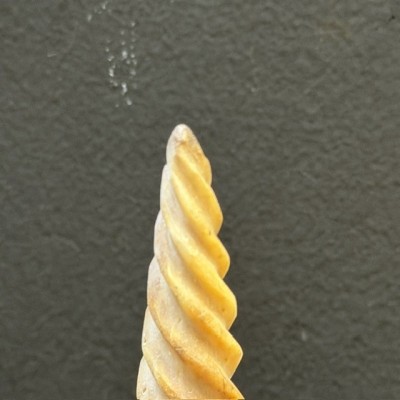 Spiral-carved marlin rostrum - Istiophoridae - Unicorn