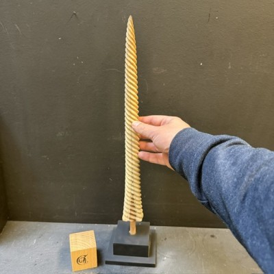 Rostre de Marlin sculpté en spirale - Licorne