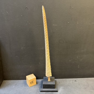 Rostre de Marlin sculpté en spirale - Licorne