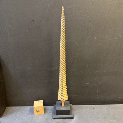 Spiral-carved marlin rostrum - Istiophoridae - Unicorn