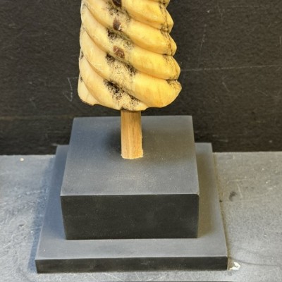 Spiral-carved marlin rostrum - Istiophoridae - Unicorn