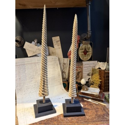 Rostre de Marlin sculpté en spirale - Licorne