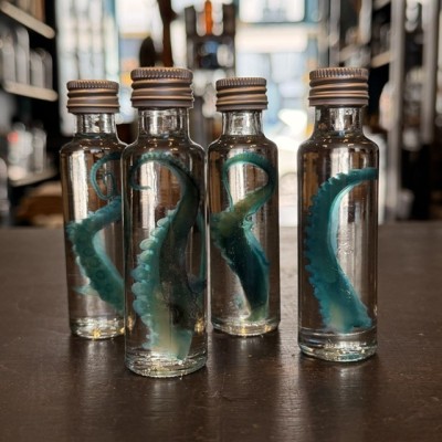 Octopus Tentacle Diaphanisation - Biological preparation