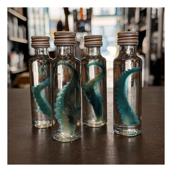 Octopus Tentacle Diaphanisation - Biological preparation