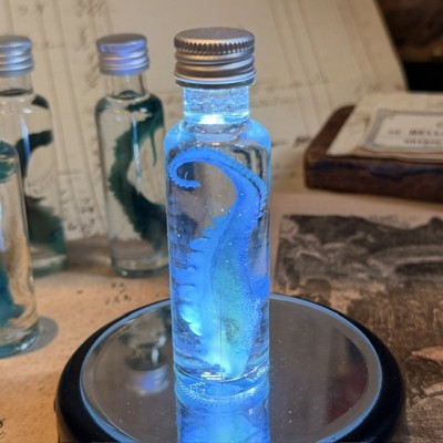 Octopus Tentacle Diaphanisation - Biological preparation