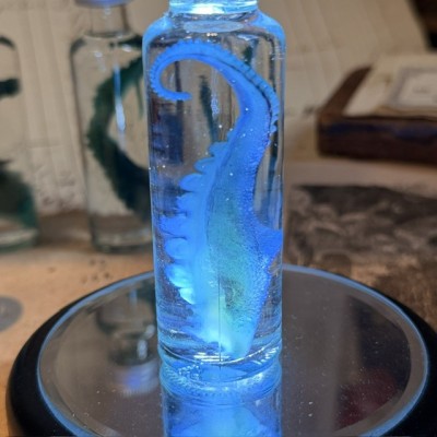 Octopus Tentacle Diaphanisation - Biological preparation