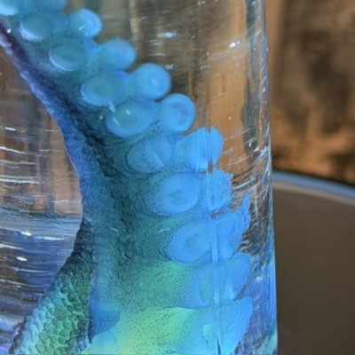 Diaphanie de Tentacule de Pieuvre - Préparation biologique