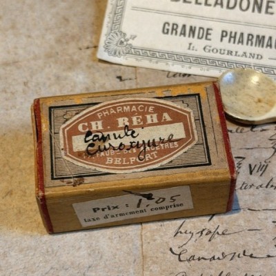 Canule Curoxyure en os dans sa boîte - Stock neuf d'époque - 1939/1940