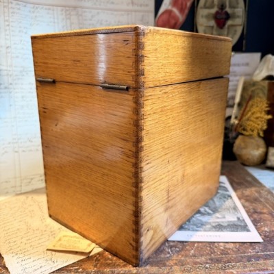 Oak desk card index cabinet - Antique pharmacy cabinet - 1910/1930