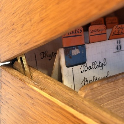Oak desk card index cabinet - Antique pharmacy cabinet - 1910/1930