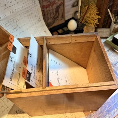 Oak desk card index cabinet - Antique pharmacy cabinet - 1910/1930