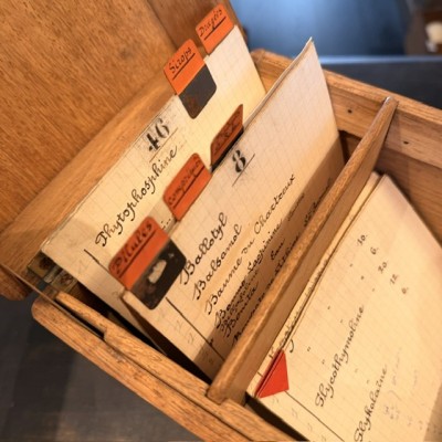 Oak desk card index cabinet - Antique pharmacy cabinet - 1910/1930