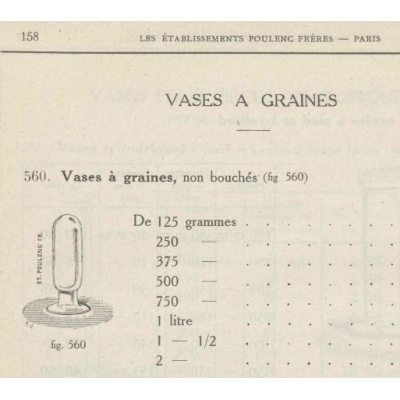 Cloche à spécimen en verre soufflé - Cloche d'apothicaire renversée - Vase à graines