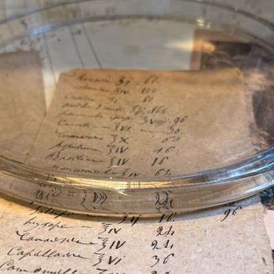 Cloche de laboratoire de protection - 1900 - Pharmacie - Apothicaire
