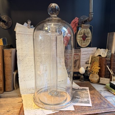 Cloche de laboratoire de protection - 1900 - Pharmacie - Apothicaire
