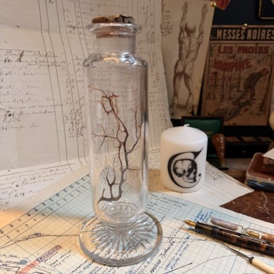 Exhibition jar - Pharmacy crystal vase - Herbalist - Apothecary - 19th