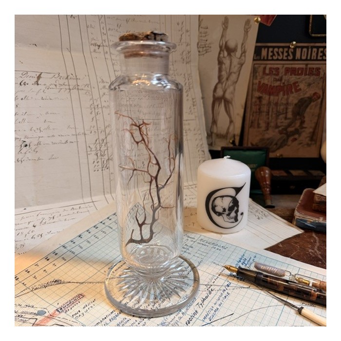 Flacon d'exposition - Vase à montrer de pharmacie - Cristal - XIXe siècle