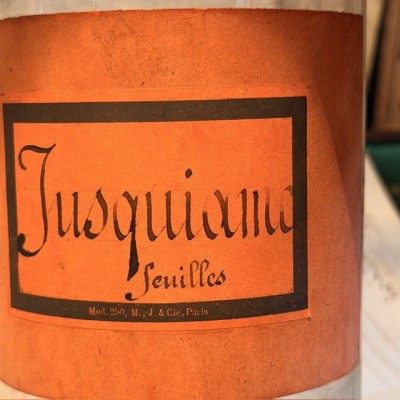 Jusquiame leaves - POISON - Antique Pharmacy Bottle - Apothecary Jar