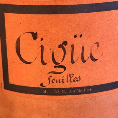 Cigüe en feuilles - POISON - Bocal ancien de pharmacie-Apothicaire