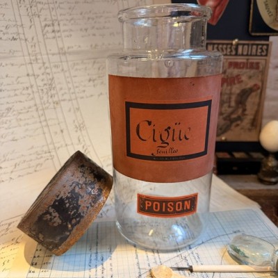 Cigüe en feuilles - POISON - Bocal ancien de pharmacie-Apothicaire