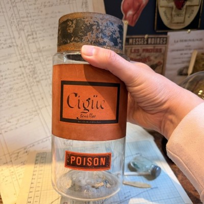 Hemlock leaves - POISON - Antique Pharmacy Bottle - Apothecary Jar