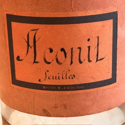 Aconit en feuilles - POISON - Bocal ancien de pharmacie-Apothicaire