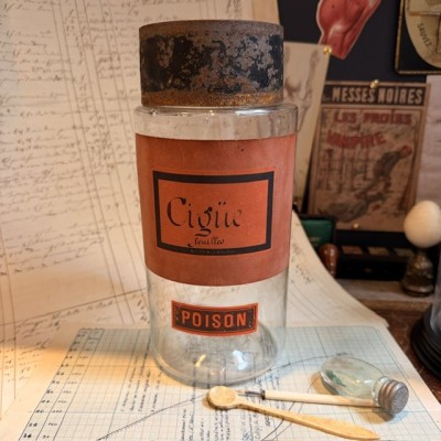 leaves - POISON - Antique Pharmacy Bottle - Apothecary Jar