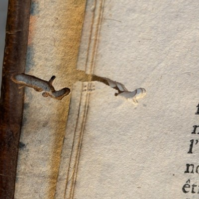 L'Albert Moderne - Grimoire book of 1777