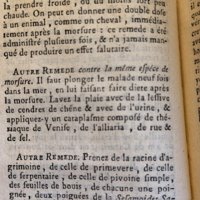 Albert Moderne ou nouveaux secrets éprouvés et licites - Grimoire 1777