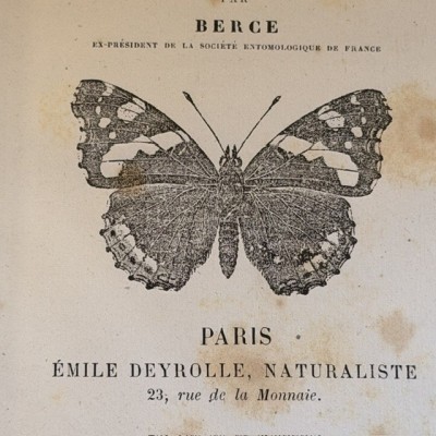 Butterflies - Natural History of France - DEYROLLE School Museum - 1886 Book