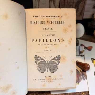 Butterflies - Natural History of France - DEYROLLE School Museum - 1886 Book