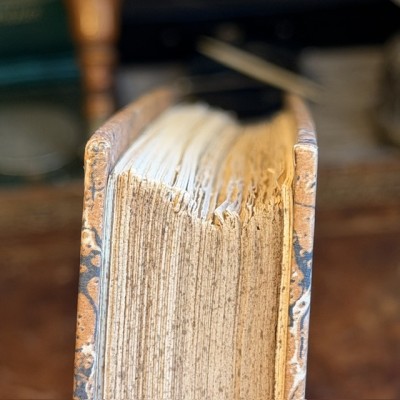 Papillons - Histoire Naturelle - Musée scolaire DEYROLLE - 1886