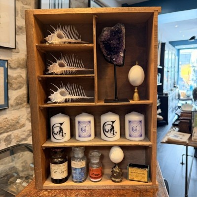 Antique wooden pharmacy drawer with 6 compartments - Curiosity shelf display