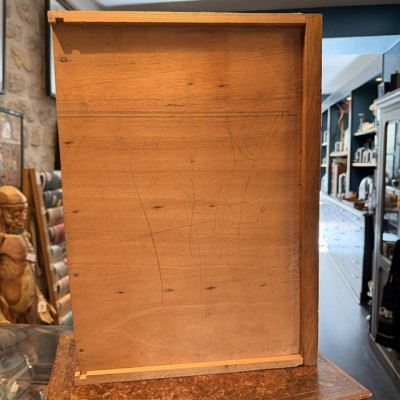 Antique wooden pharmacy drawer with 6 compartments - Curiosity shelf display