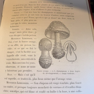 La Botanique d'Andrée par E. Carpentier - Vers 1880