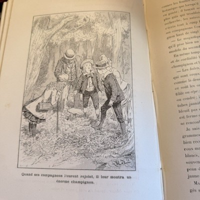 La Botanique d'Andrée by E. Carpentier - circa 1885