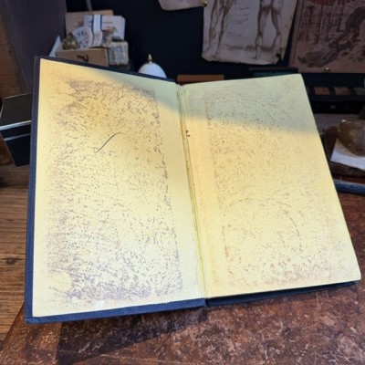 Deadly arsenic book - Beautés des voyages anciens et modernes 1853