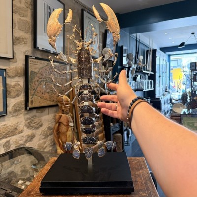 Homard européen - Eclaté à la Beauchêne sous vitrine de verre