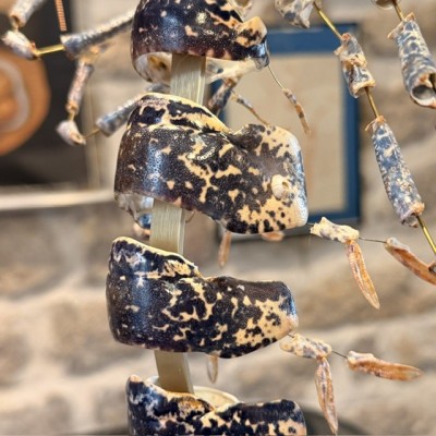 Homard européen - Eclaté à la Beauchêne sous vitrine de verre