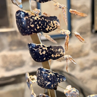 European lobster - Beauchêne explosion style under glass