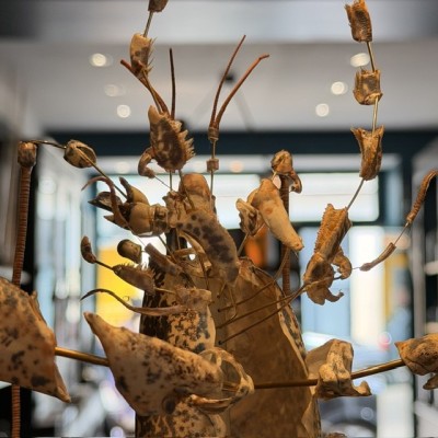 European lobster - Beauchêne explosion style under glass