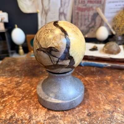 Pierre de Dragon - Septaria de Madagascar en Boule
