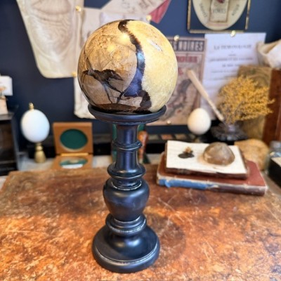 Pierre de Dragon - Septaria de Madagascar en Boule
