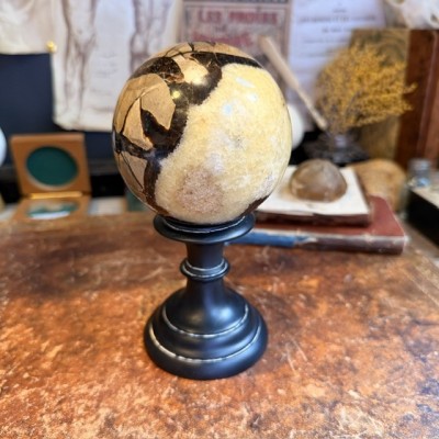 Septaria ball of Madagascar