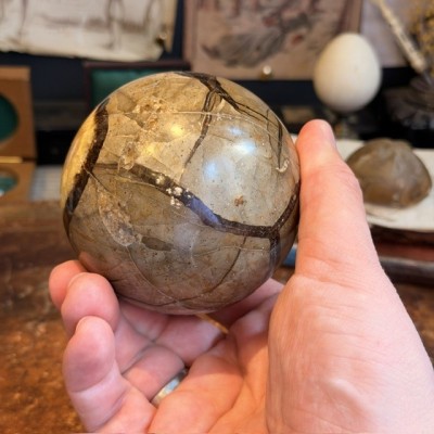 Septaria ball of Madagascar